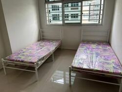 Blk 675C Fern Grove @ Yishun (Yishun), HDB 4 Rooms #480397081
